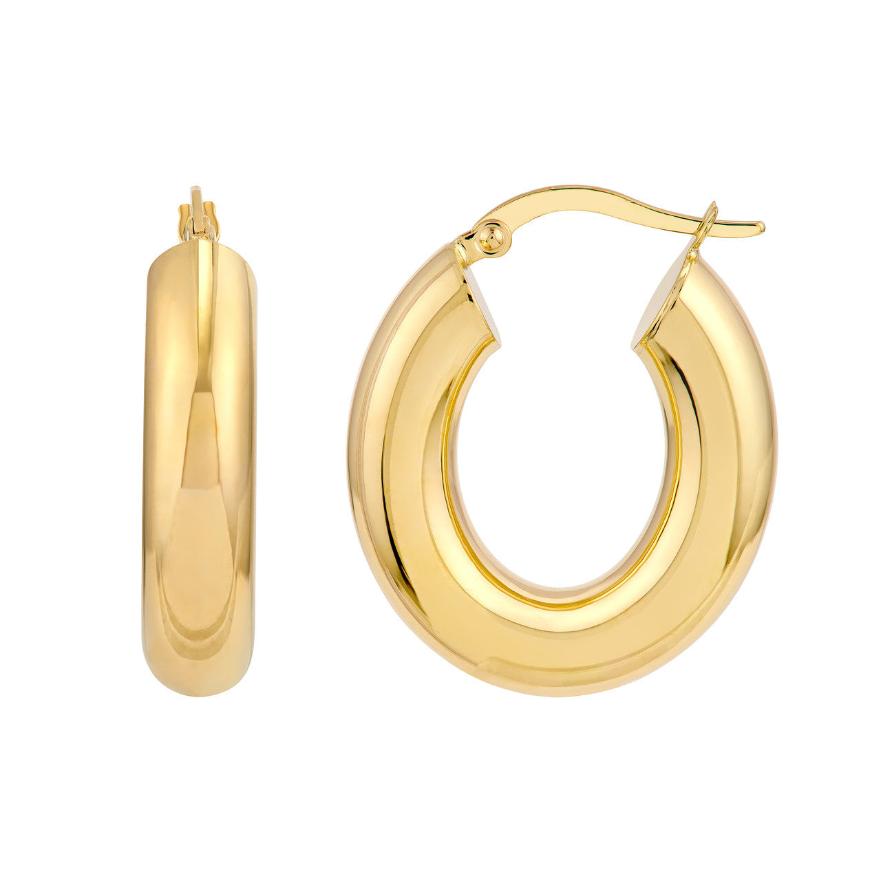 Oval Hoop Earrings