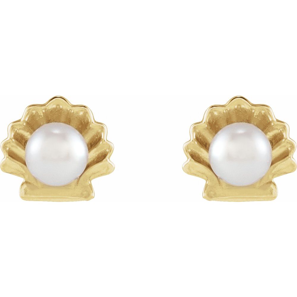 Pearl Seashell Earrings