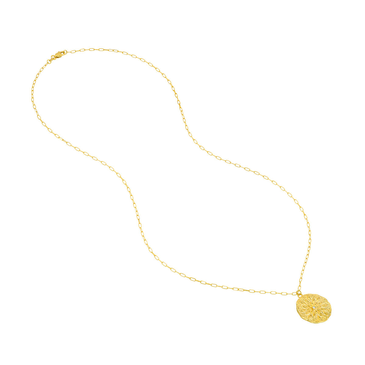 Sand Dollar Medallion Necklace