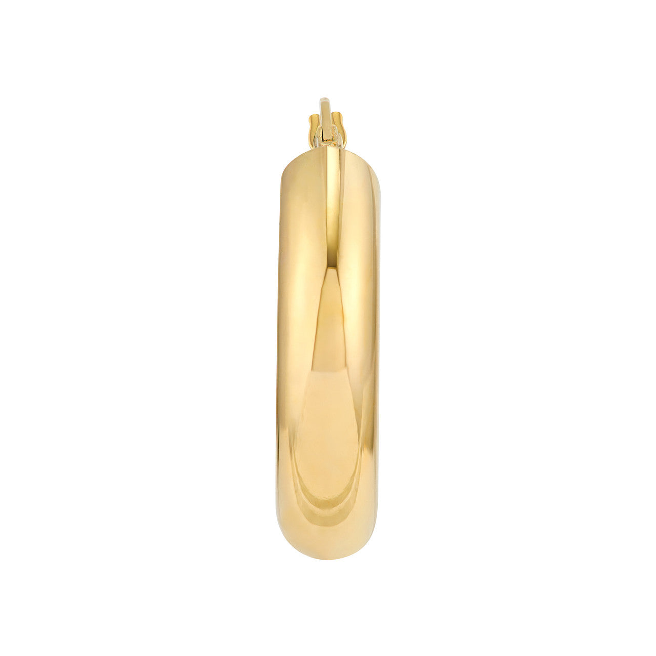 Oval Hoop Earrings