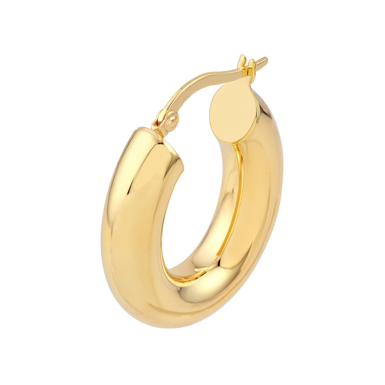 Oval Hoop Earrings