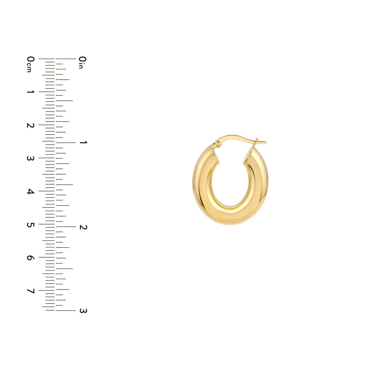 Oval Hoop Earrings