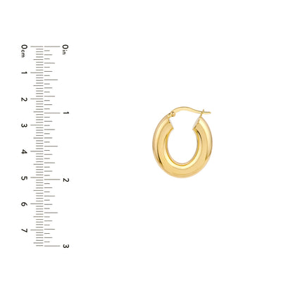 Oval Hoop Earrings